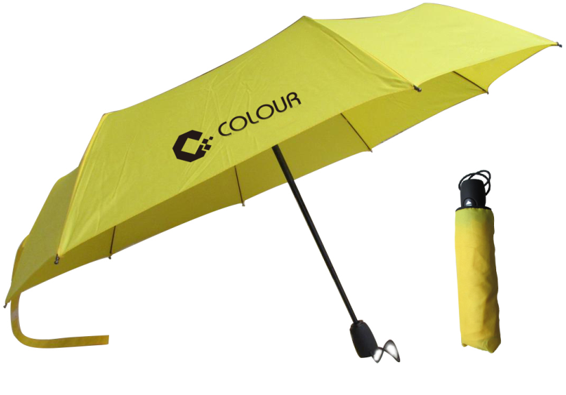 Automatic open umbrella F22